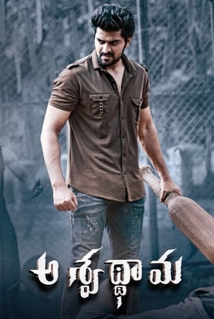 Aswathama 2020 ( – Telugu) Dual Audio | Dubbed Hindi Movie UnCut HDRip [960MB]